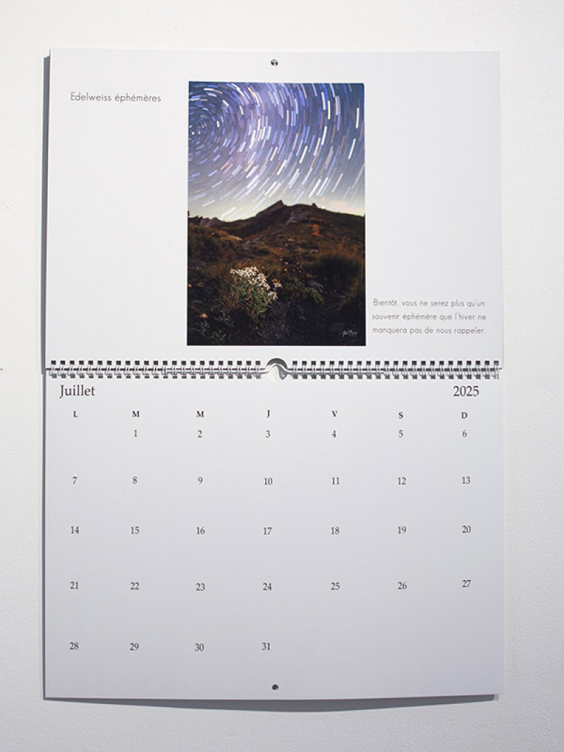 Filé d'étoiles sous les Edelweiss au col Agnel